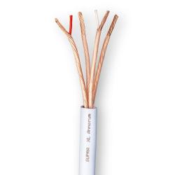 Supra XL Annorum cable by the foot, main photo